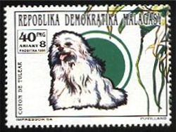 Malagasy Coton de Tuléar stamp 1991